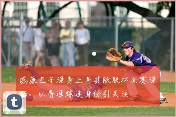 威廉王子现身土耳其欧联杯决赛现场,以普通球迷身份引关注